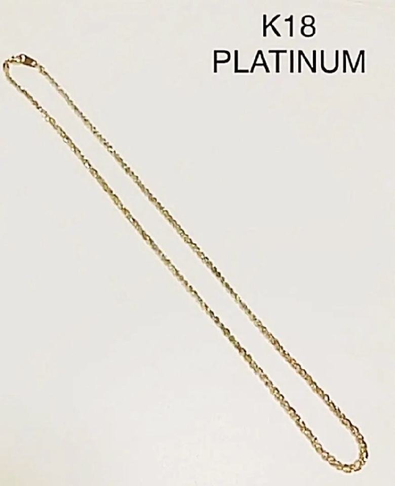 K18 PLATINUM necklace