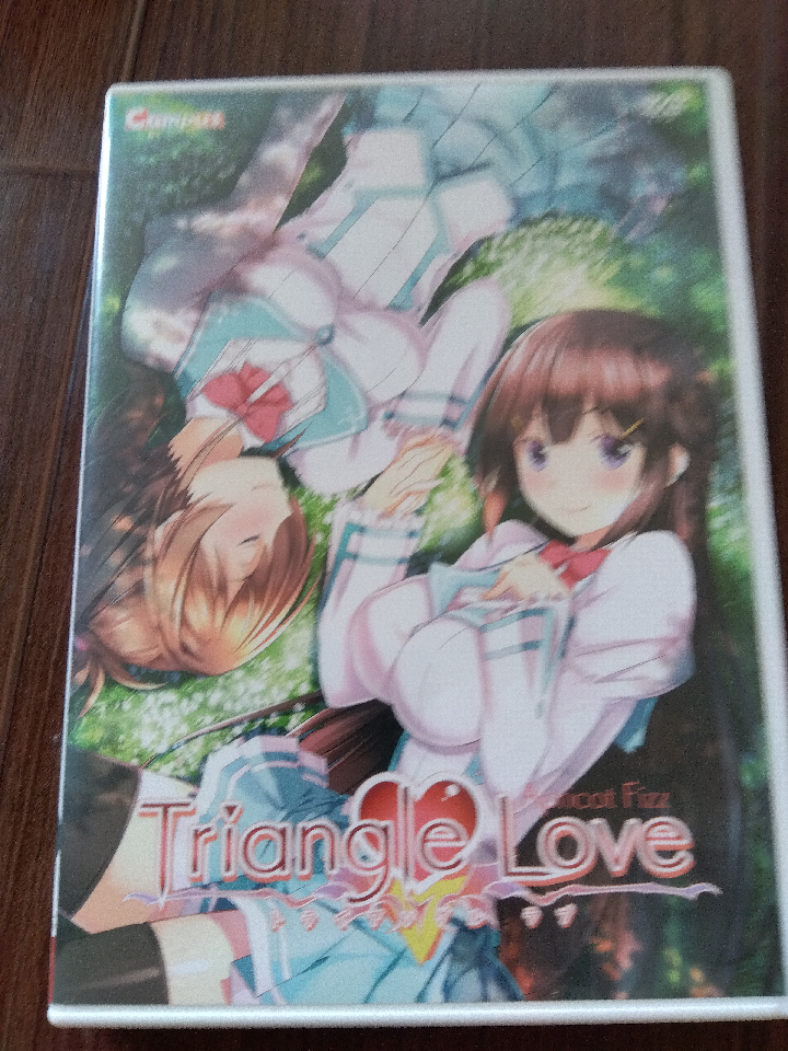 Triangle Love, branded as Apricot Fizz, is a DVD ROM romance game.