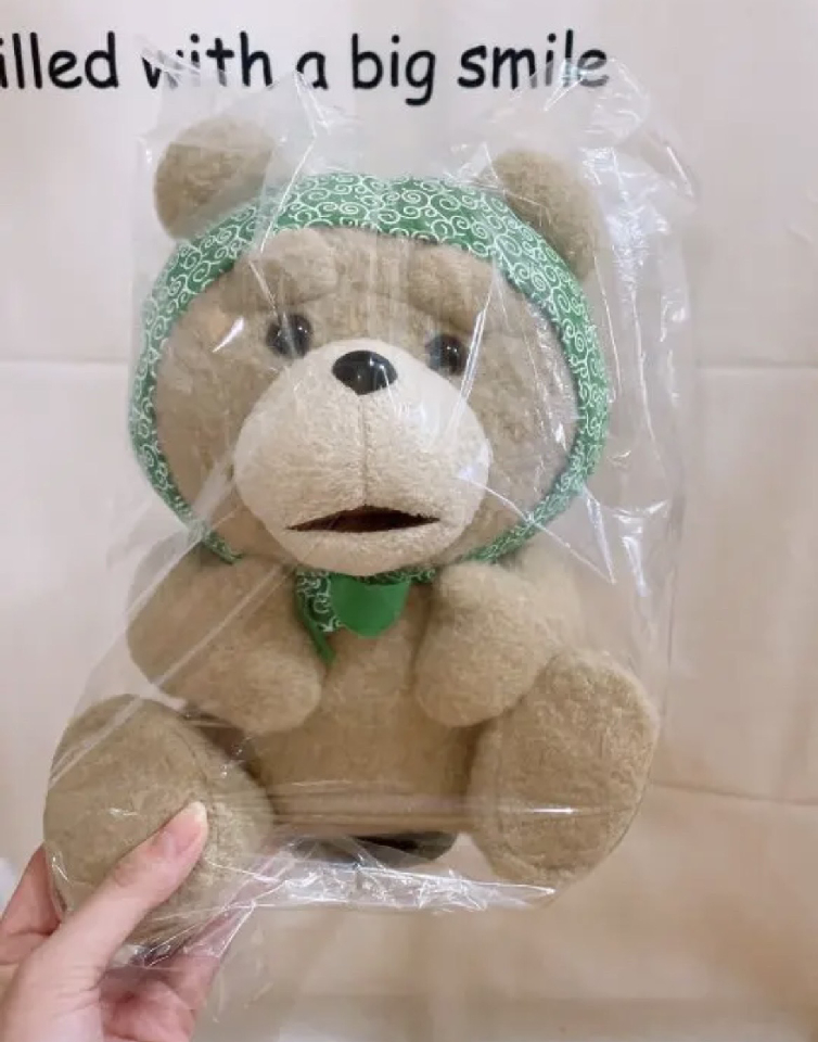 ted plush toy
